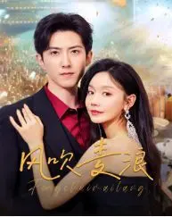 《风吹麦浪》：爱尔兰独立战争中的兄弟情与命运挣扎