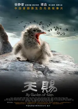 《天赐》：揭秘生命奇迹，感受亲情与救赎的动人篇章